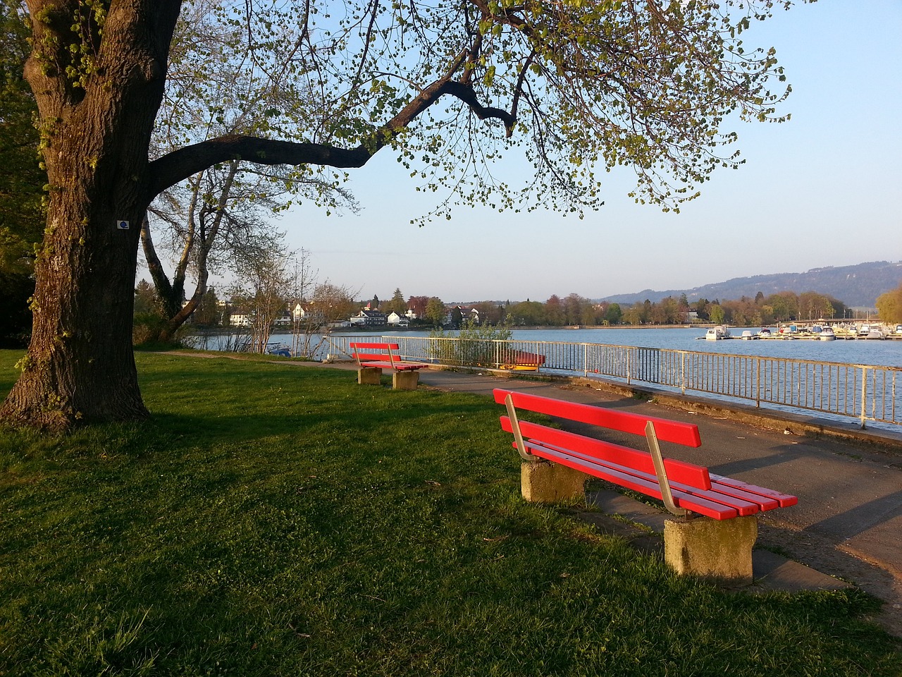 表性的便是 表性的便是