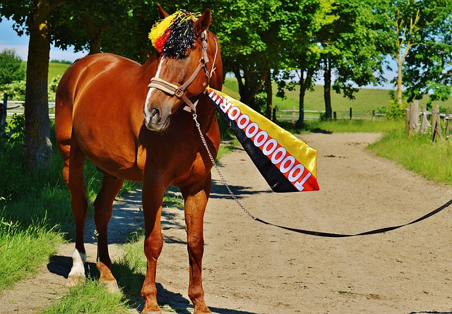 的重要武器 的重要武器