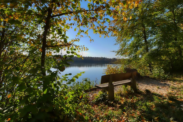 网暴现象的 网暴现象的