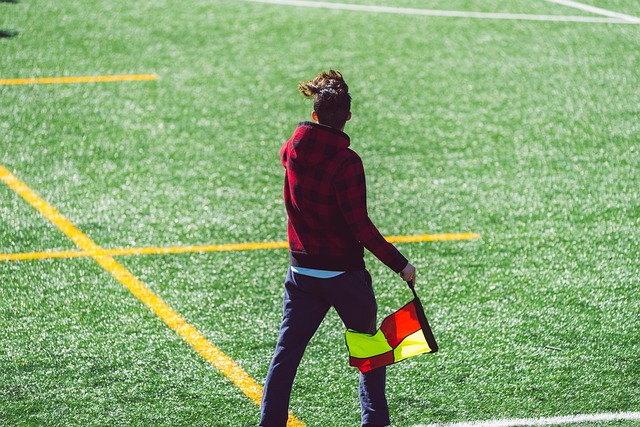 也让齐祖在 也让齐祖在